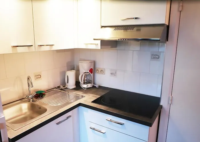 Park Atlantis Klemskerke * Le Coq